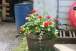 resIMG_20110629_6087.JPG